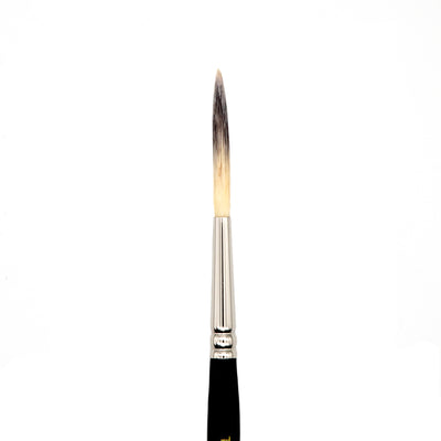 Pointed Long Hair Scroll Brush (Samina Nylon)| TL-36