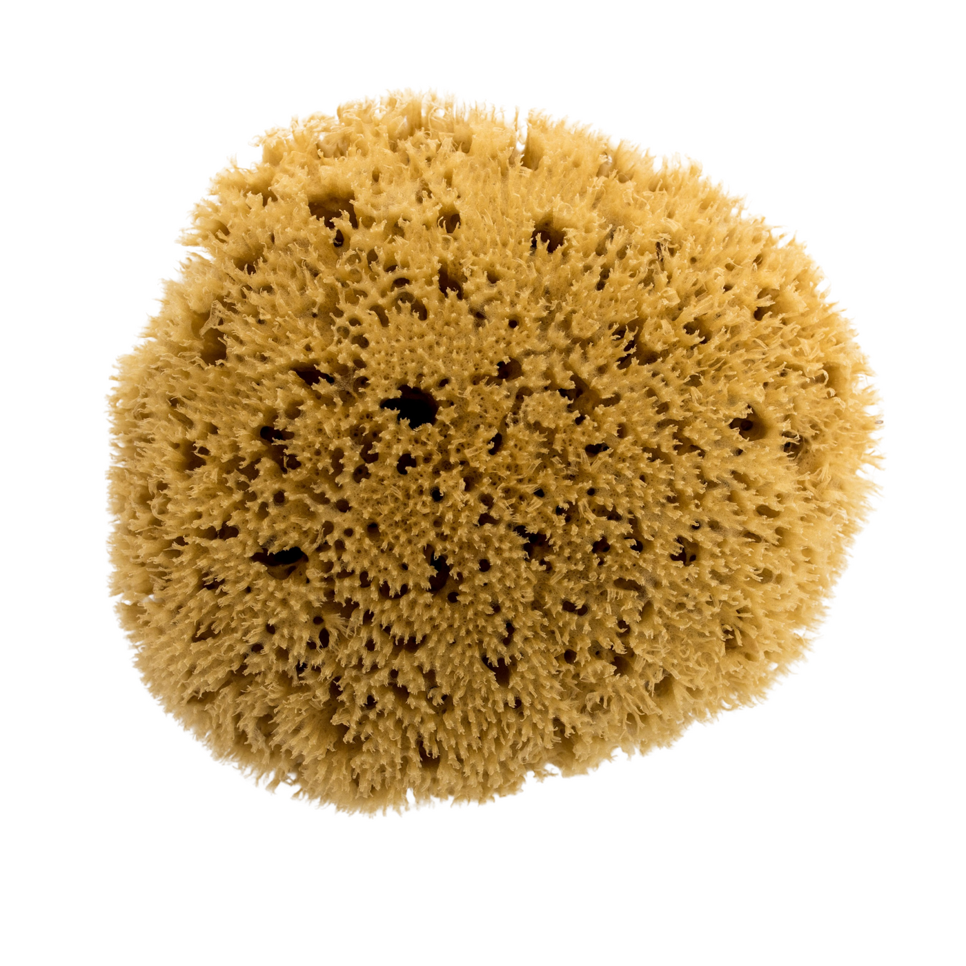 Armaly Medium Texture Painting Sponge