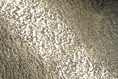 MIDAS Metall® White Gold Powder Unit