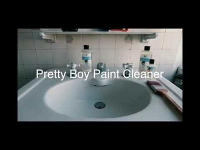 Pretty Boy Paint Cleaner & Conditioner