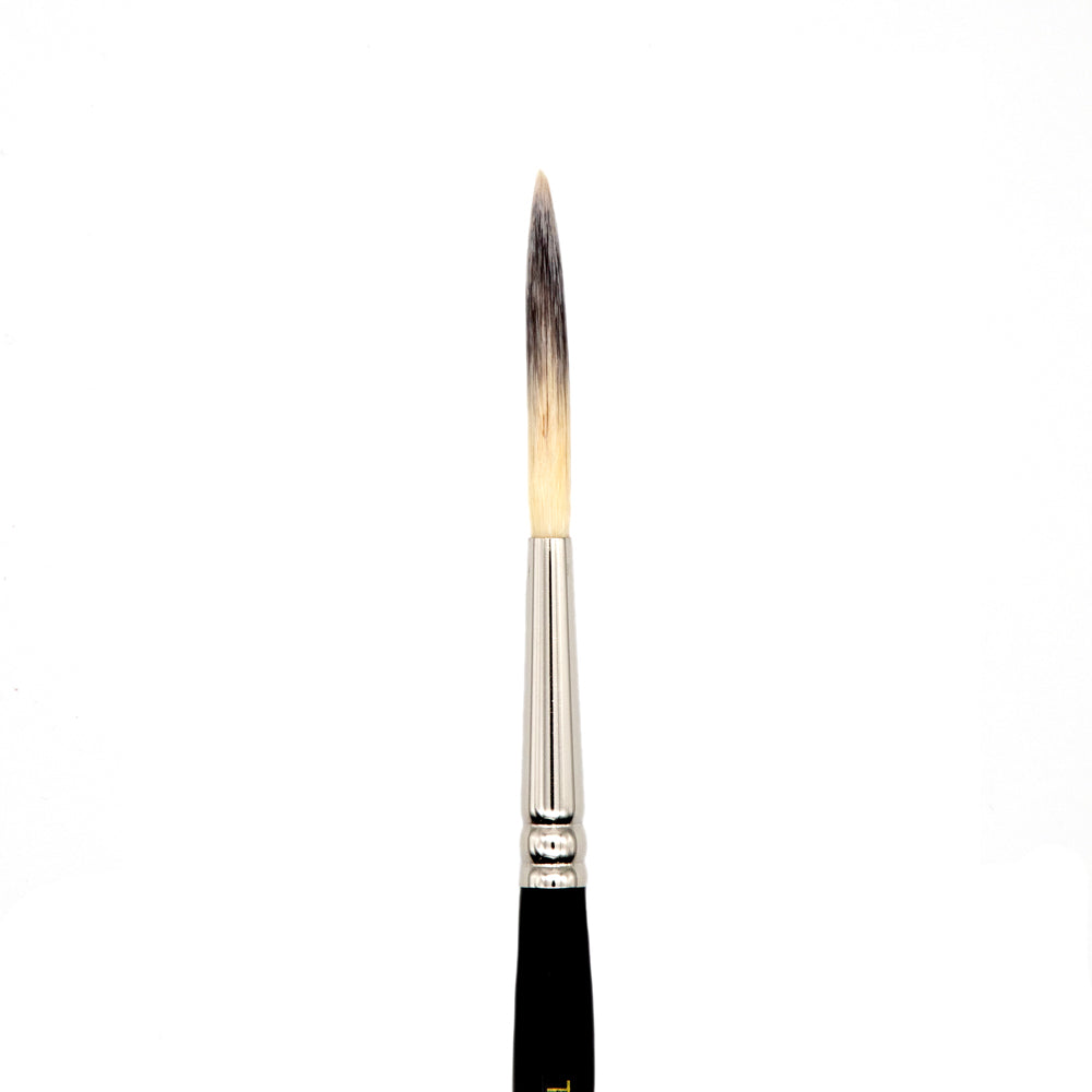Pointed Long Hair Scroll Brush (Samina Nylon)| TL-36